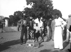 Bird sellers, Maputo, Mozambique