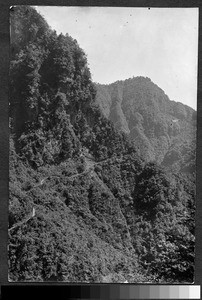 Road to mountain top, Sichuan, China, ca.1900-1920