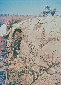 Missionary Bjørg Lundager is hiding inside a cave, Tanzania. Who is standing outside? (Bjørg an