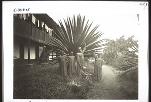 Grosse Agave vor dem Missionshaus in Bonaberi