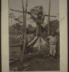 Leopard dressed up for the Losango dance