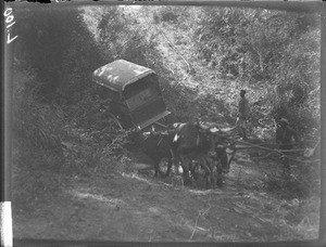 Crossing a river, Mozambique, ca. 1901-1907