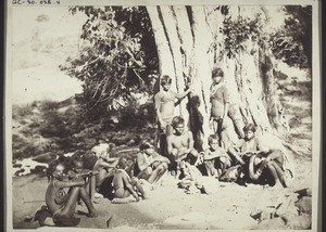 Indian forest-dwellers