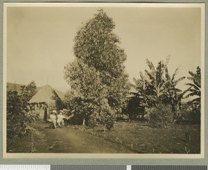Irvine boys in the garden, Chogoria, Kenya, ca.1925
