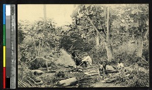 Travelers resting in the forest, Kangu, Congo, ca.1920-1940