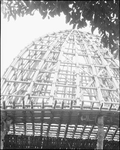 Roof structure of a large hut in the Bamileke region