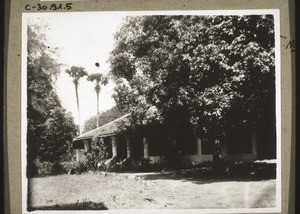 Bungalow in Palghat