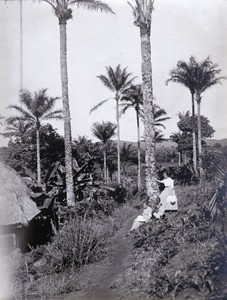 Miss Völl and Miss Wuhrmann in a palm grove, in Cameroon