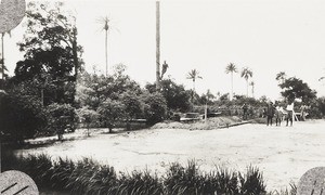 Clearing ground in preparation for building hospital, Nigeria, ca. 1921