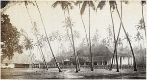 Houses on the sea coast in Calicut