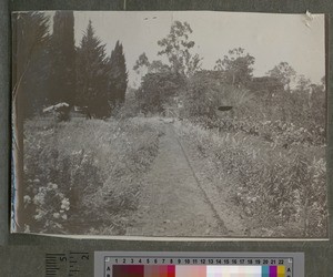 Mission Garden, Blantyre, Malawi, ca.1926