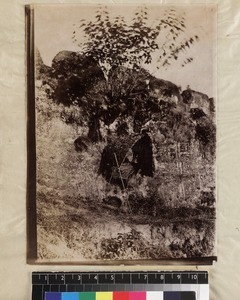 Baby basket on hillside, China, ca. 1888-1906