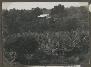 House of a teacher, Tanzania, ca.1930-1940