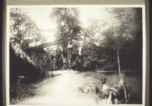 Aufstieg z. ein. Hängebrücke bei Besongabang (1928)