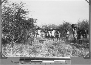 Caravan on the move, Tanzania, ca.1898-1914