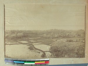 Landscape, Madagascar, ca.1890