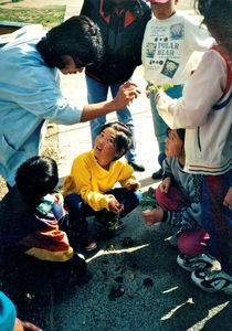 Environmental class in Mongolia - classification of flowers and plants