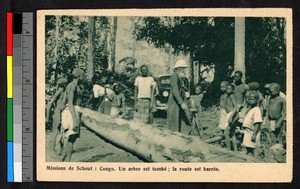 Missionary father standing on a blocked forest road, Congo, ca.1920-1940