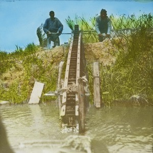 Irrigation, China, ca. 1905-1914