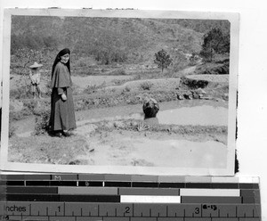 A Maryknoll Sister on a rice path at Dongshi, China, 1948