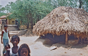 12.- Mission for børn i Indien. Diasserie 1990, "Da jeg blev velsignet af en elefant". Inden vi besøger nogen skoler, går vi lige en tur i landsbyen