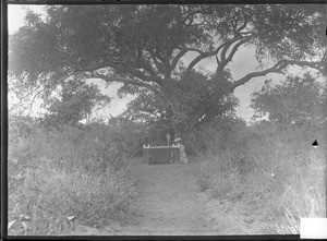 European woman sitting next to a grave, Mozambique