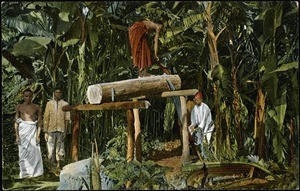 African workers sawing boards, Mamba, Tanzania, ca. 1900-1914