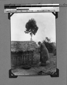 African woman treading sorghum, Nyasa, Tanzania, 1929