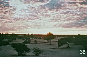 Missionens historie på Madagaskar. Solopgang over Tulear. Det var en ny dag, der oprandt for missionærerne, da de både fik kong Lahimorizas tilladelse til at bosætte sig hvor de ville og også kunne nyde godt af hans beskyttelse. Gaver blev udvekslet og missionsarbejdet kunne begynde. Lysbilledserie nr. 392, 36