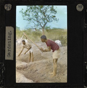 Two young men gardening, Lubwa, Zambia, ca.1905-ca.1940