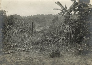 Fang village in Gabon