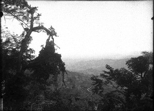 Landscape near Lemana, Limpopo, South Africa, ca. 1906-1907