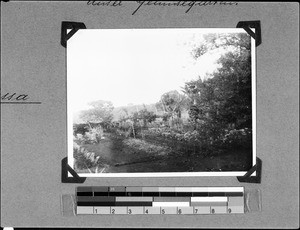 View into the garden, Nyasa, Tanzania, 1935