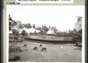 Shiva temple