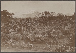 Landscape view with the top of Kilimanjaro, Tanzania