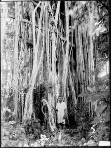 An African man in front of a tree, Tanzania, ca.1913-1938