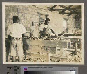 Carpenters Shop, Kikuyu, Kenya, August 1926