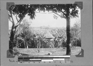 Chicken coop and school building, Rutenganio, Tanzania