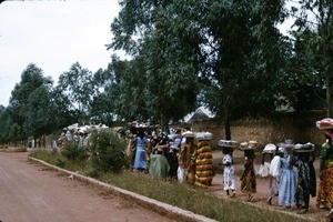 Wedding party, Ngaoundéré, Adamaoua, Cameroon, 1953-1968