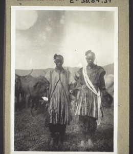 Fulani herdsmen with their cattle