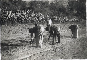 Gardening at Cana Mission station