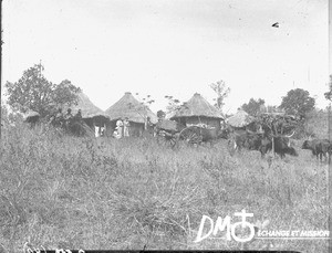 Cart in front of huts, Valdezia, South Africa, ca. 1896-1911