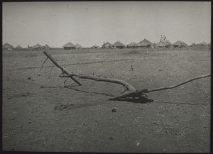 Abessinischer Pflug (ähnlich wie die altaegyptischen)