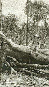 Missionary child on a tree, in Gabon