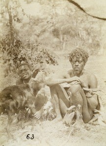 Goat in sale, in Lealui, Barotseland, Zambia