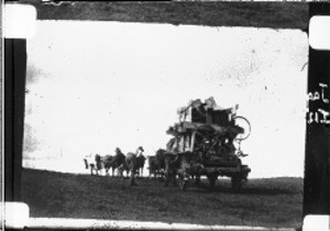 Transport of circumcision ceremony benches, Shilouvane, South Africa, ca. 1930