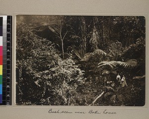 Group standing in bush clearing, Boku, Papua New Guinea, ca. 1908-1910