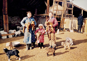 Distribution of emergency aid (fodder) in the Gobi-Sumber Province in Mongolia in March 2001. F