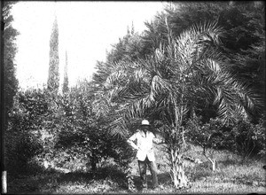 David Paul Lenoir in a garden in Lemana, Limpopo, South Africa, ca. 1906-1907
