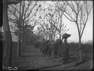 African women carrying bags of maize, Antioka, Mozambique, ca. 1916-1930